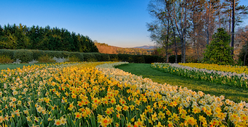 Things To Do GIBBS GARDENS